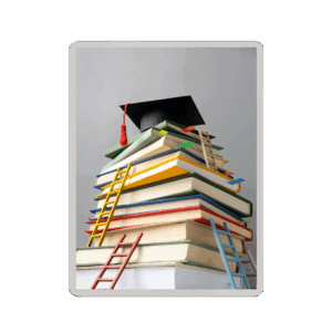 EDUCAÇÃO BRASILEIRA: Parâmetros contemporâneos e suas garantias (e-book)