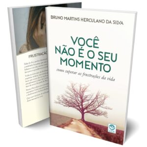 Você não é o seu momento: Como superar as frustrações da vida