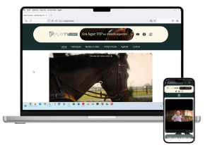playtv.horse